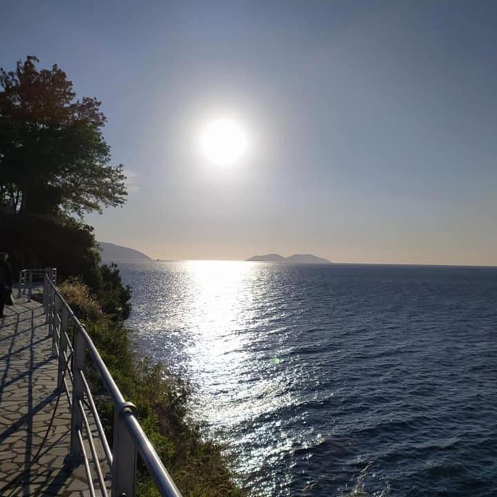Photo of Others in Vlore