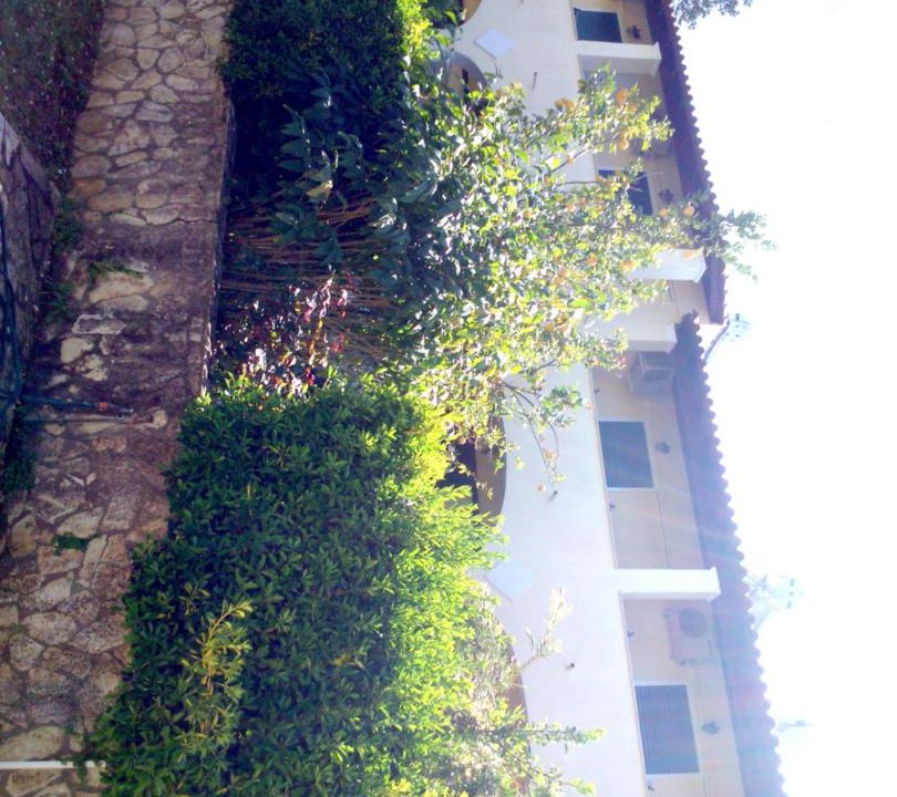 Photo of Others in Agios Georgios Pagon