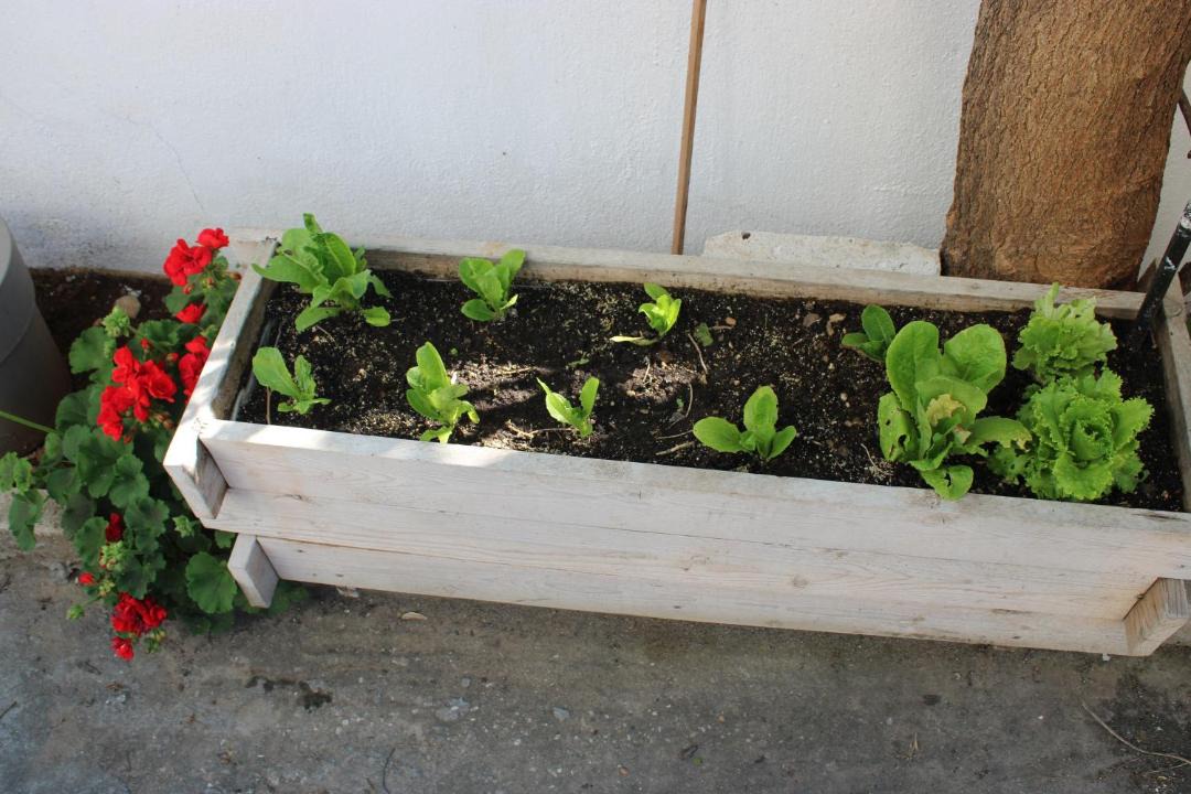 Photo of Others in Skala Kallirachis