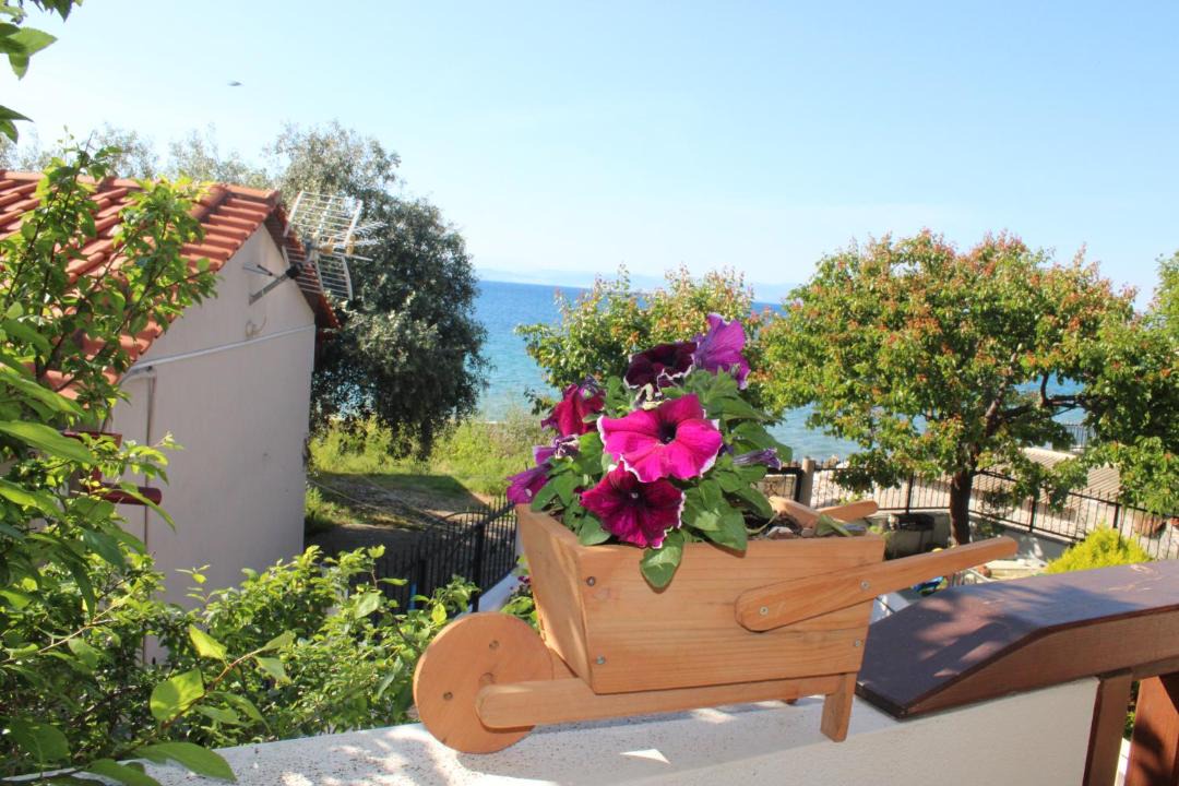 Photo of Others in Skala Kallirachis