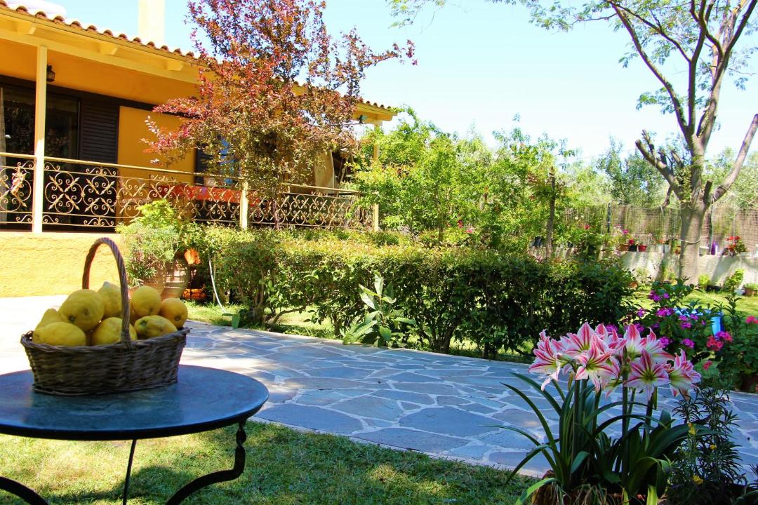 Photo of Others in Amarinthos