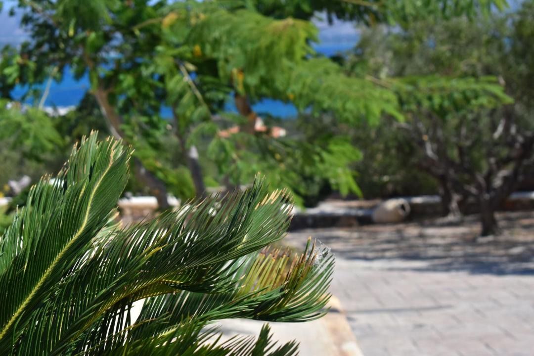 Photo of Others in Elafonisos