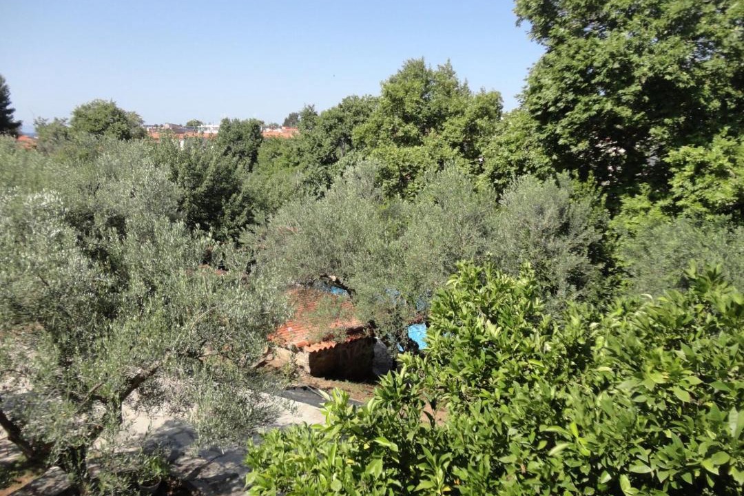 Photo of Others in Metamorfosi