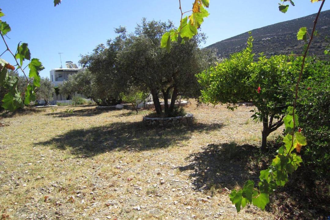 Photo of Others in Platis Gialos