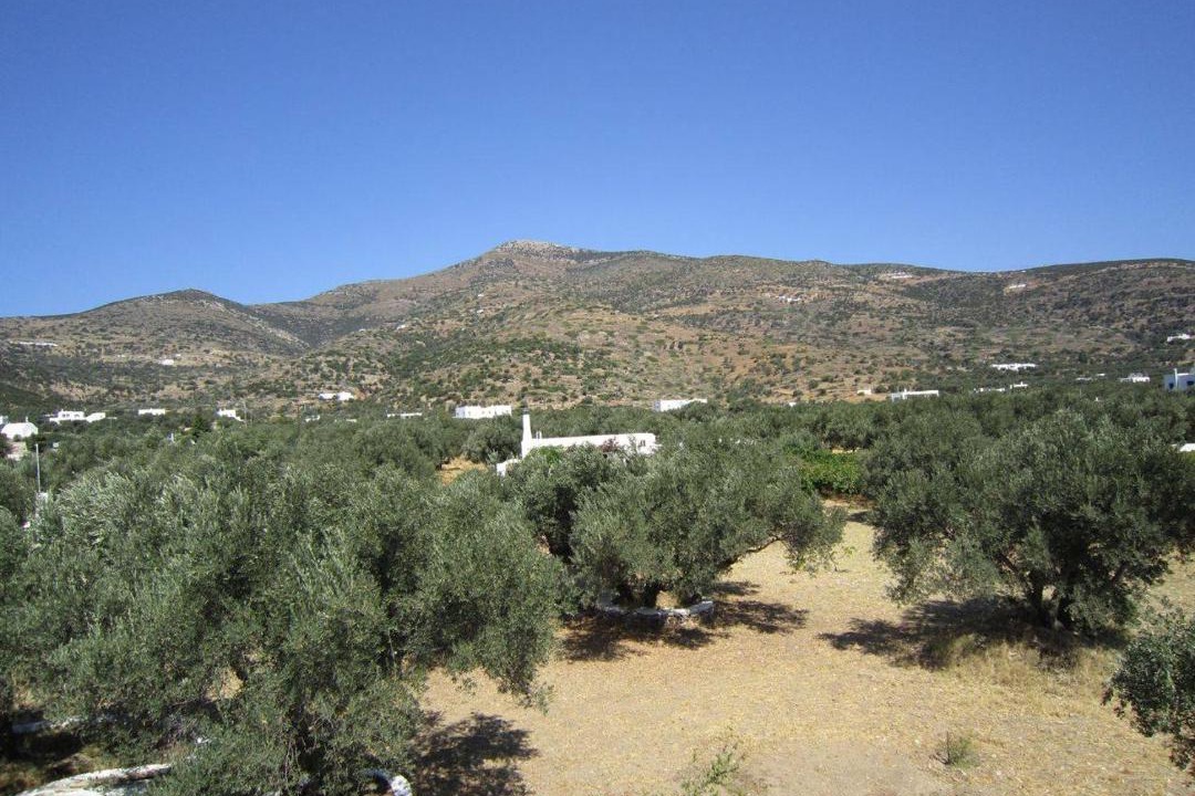 Photo of Others in Platis Gialos