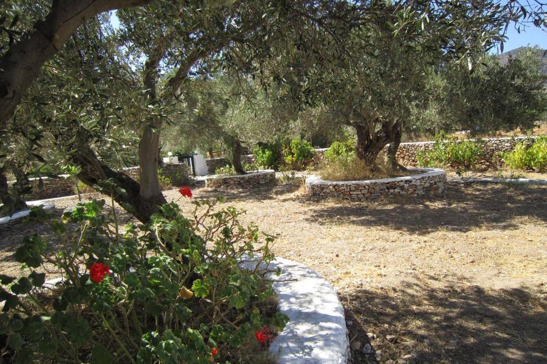 Photo of Others in Platis Gialos