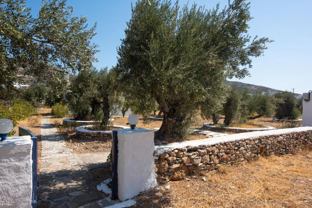 Photo of Others in Platis Gialos
