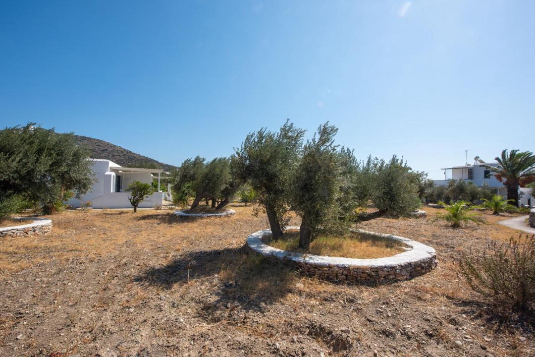 Photo of Others in Platis Gialos