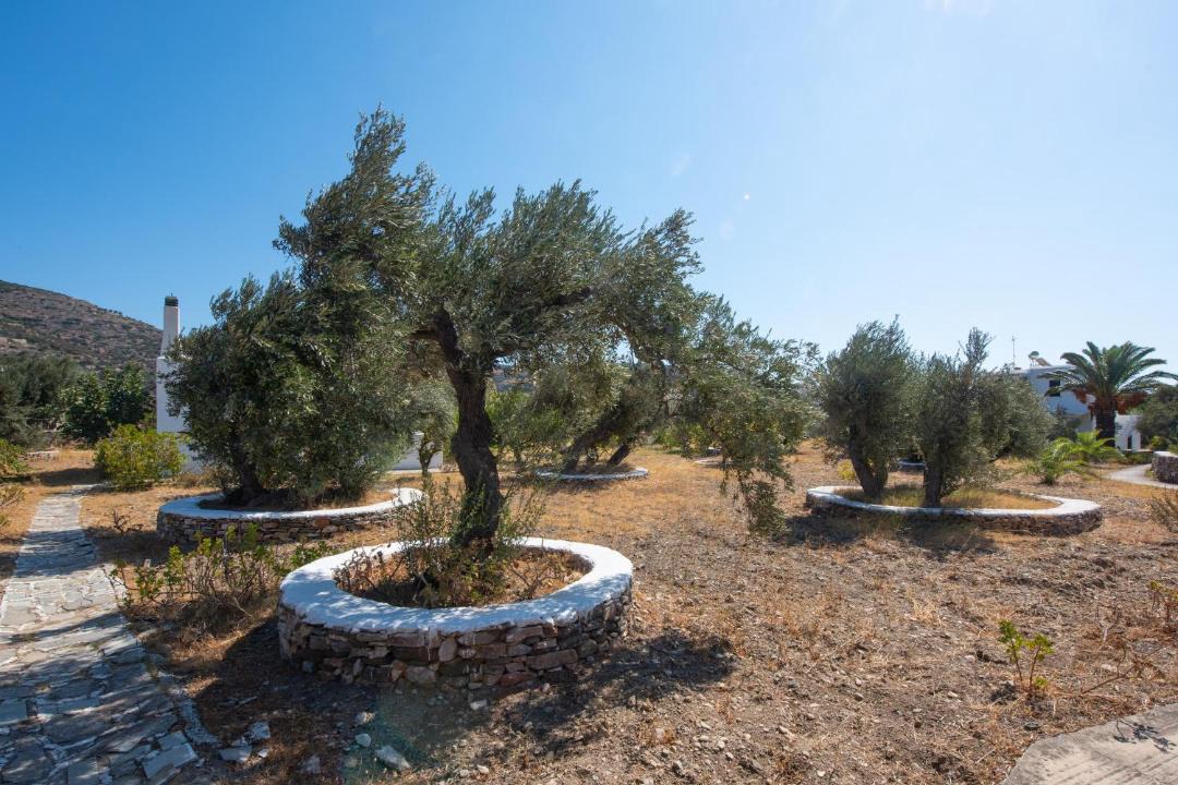 Photo of Others in Platis Gialos