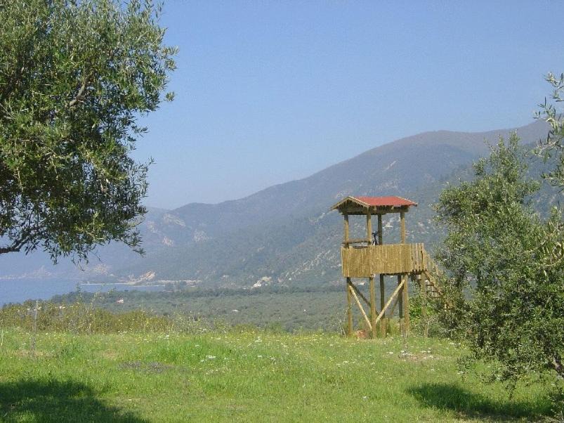 Photo of Others in Veria