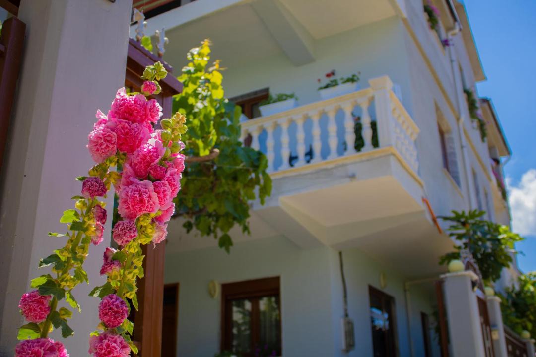 Photo of Buildings in Pogradec