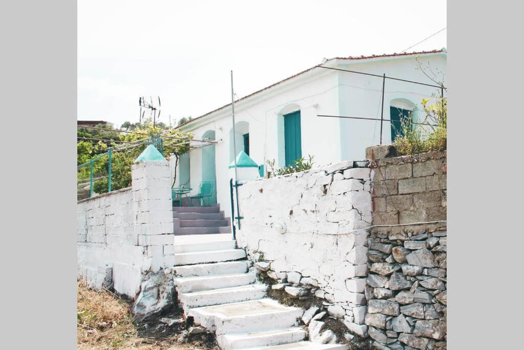 Photo of Others in Evdilos