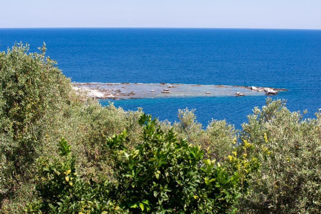 Photo of Others in Aliki