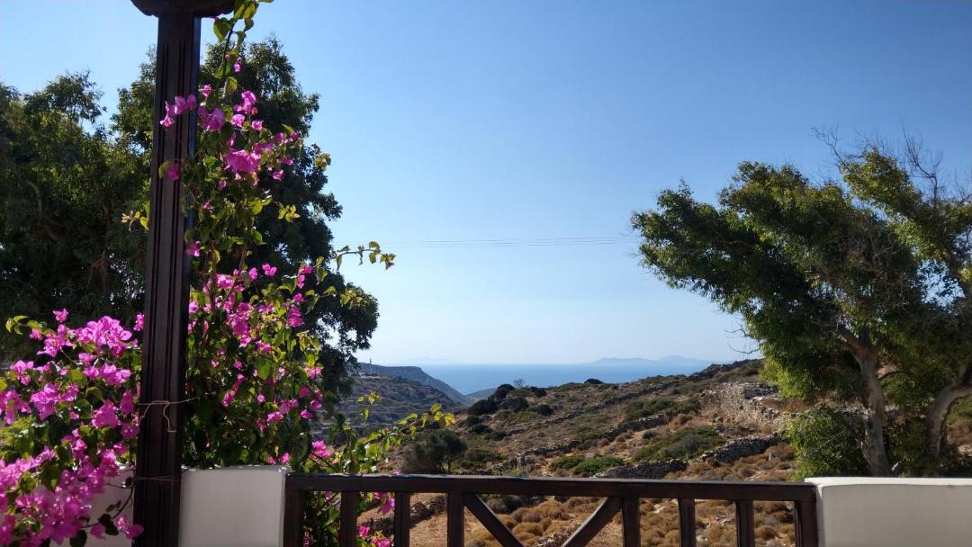 Photo of Others in Sikinos