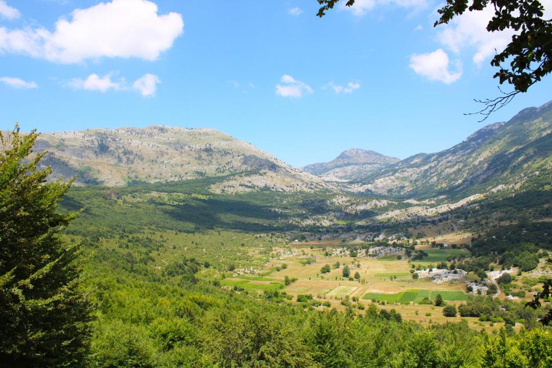 Photo of Others in Razem