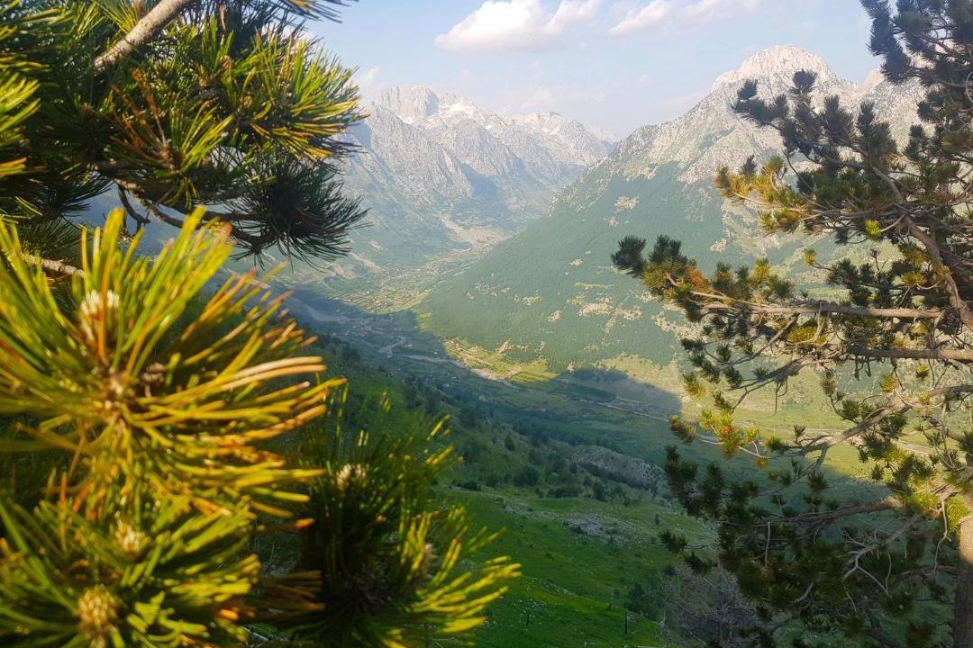 Photo of Others in Razem