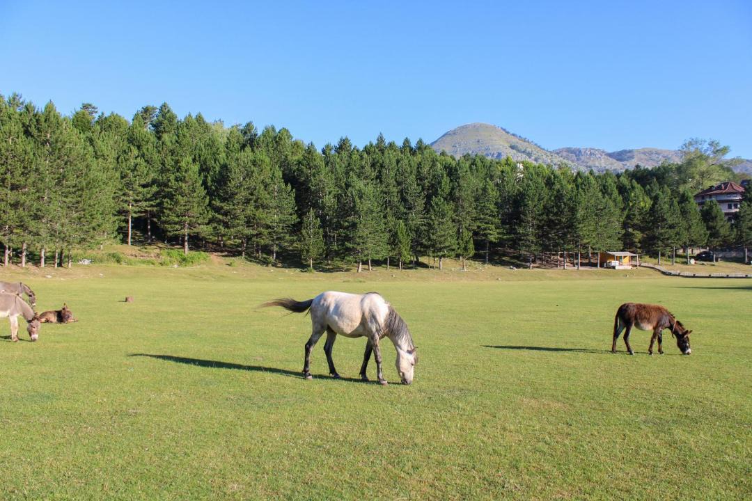 Photo of Others in Razem