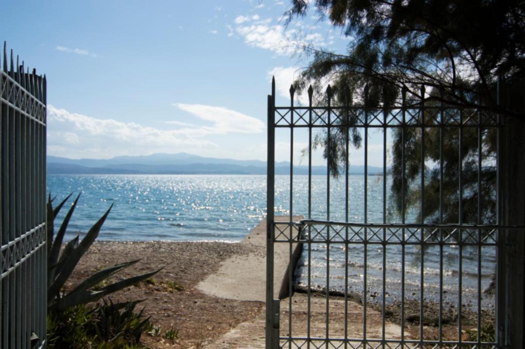 Photo of Others in Eretria