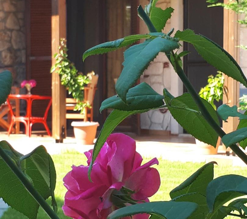 Photo of Others in Afytos