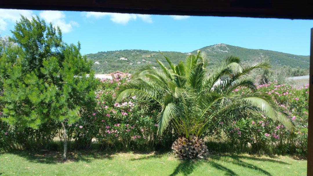 Photo of Others in Skiathos