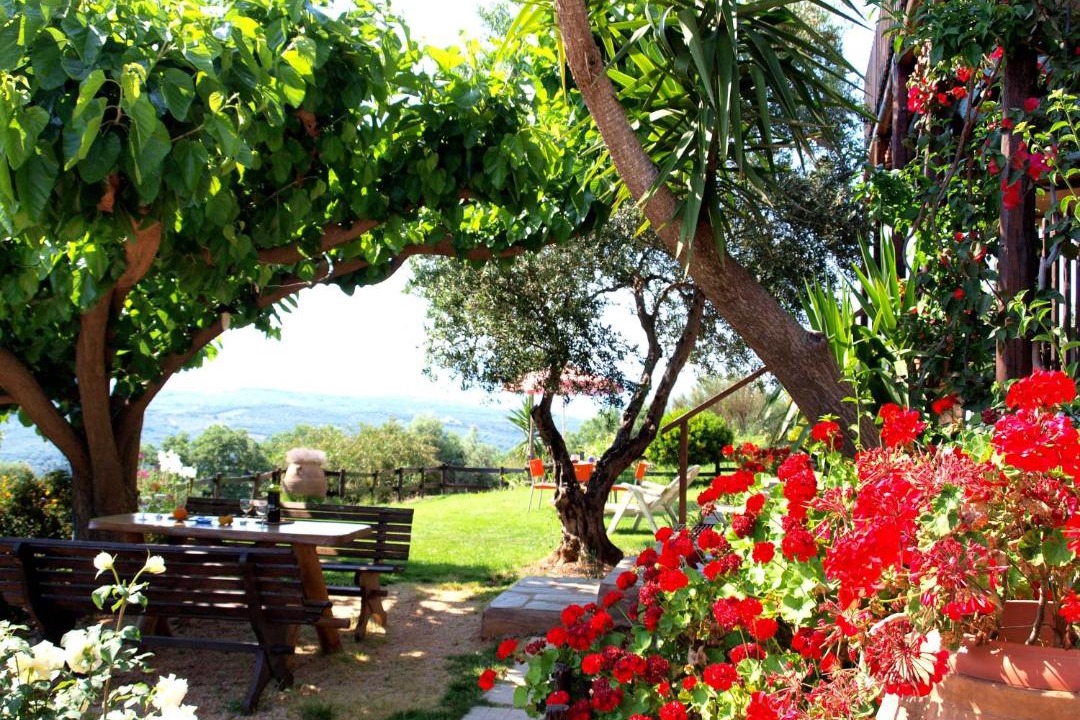 Photo of Others in Platanias