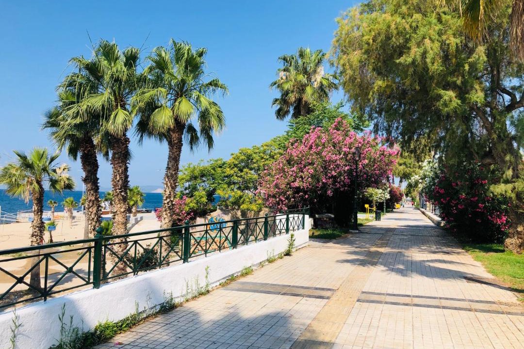 Photo of Others in Palaio Faliro