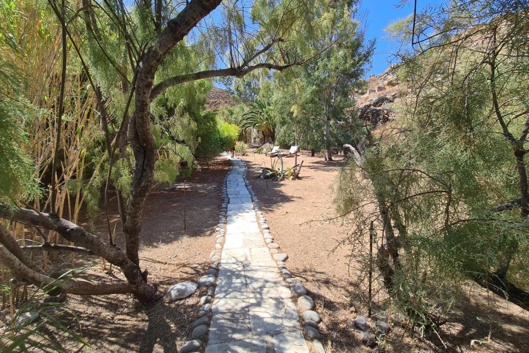 Photo of Others in Serifos