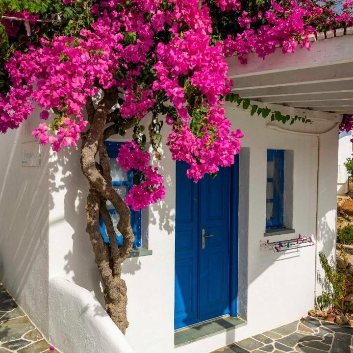 Photo of Others in Folegandros Town