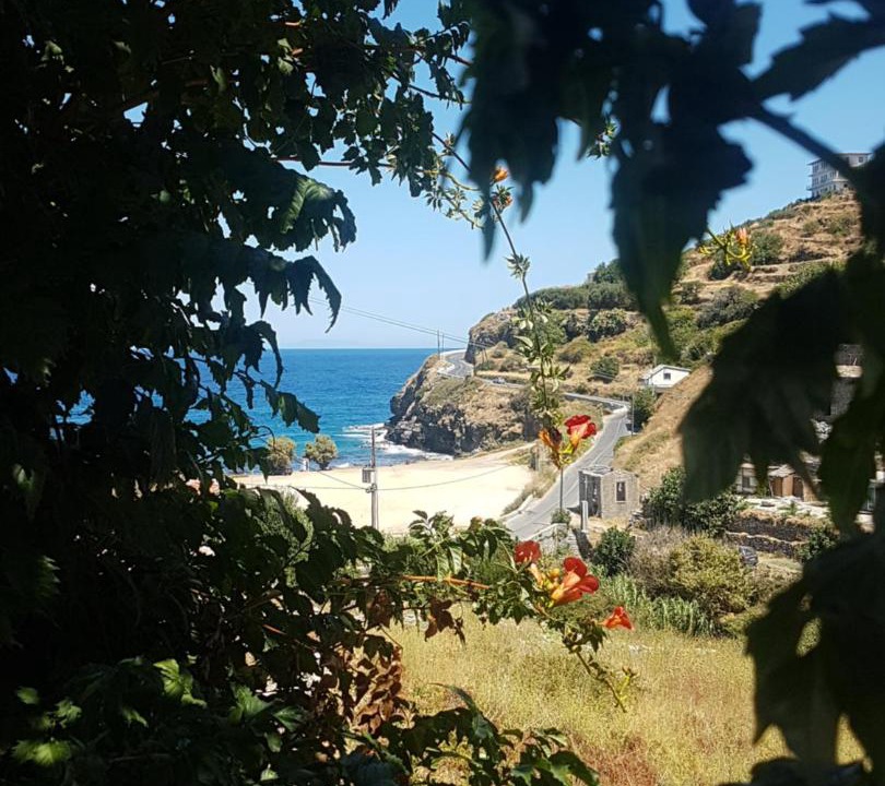 Photo of Others in Evdilos