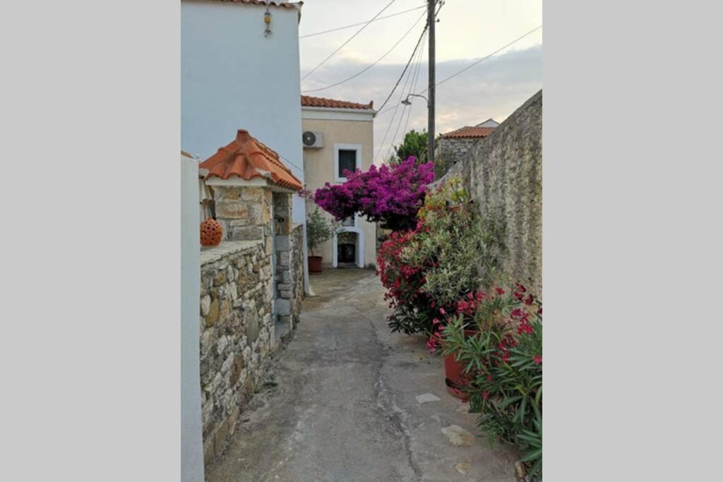 Photo of Others in Kithira