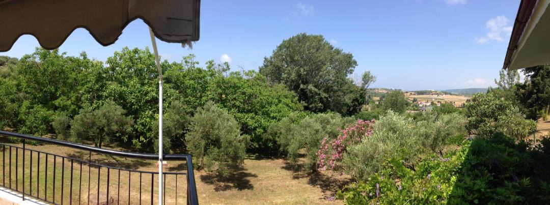 Photo of Others in Kassandra