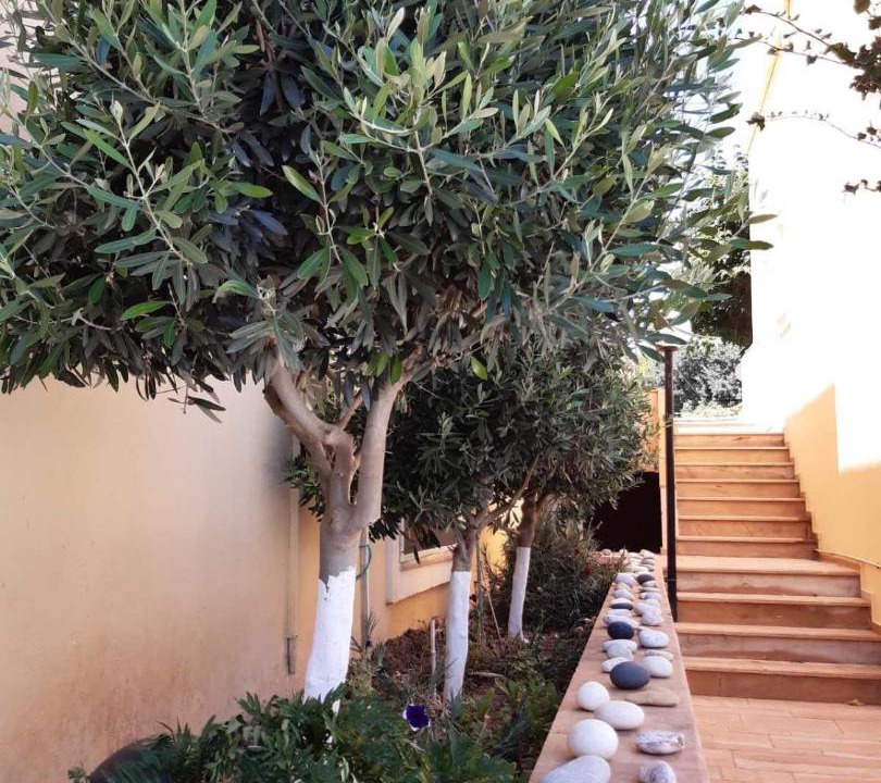 Photo of Others in Agia Ermioni
