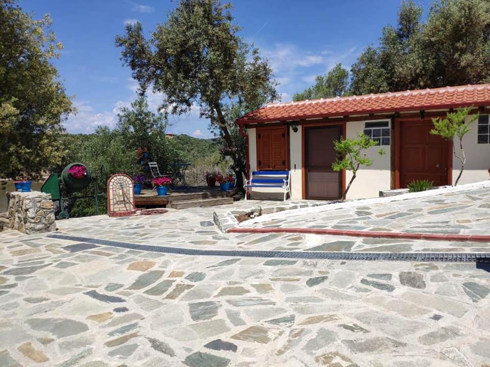 Photo of Others in Aristotelis