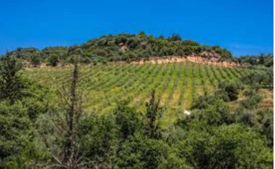 Photo of Others in Mystras