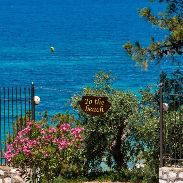 Photo of Others in Thasos Town