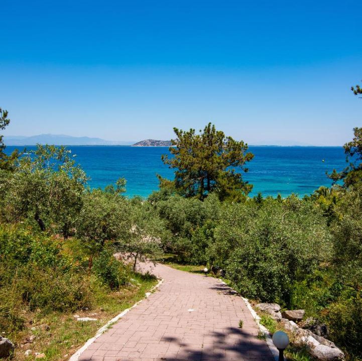 Photo of Others in Thasos Town