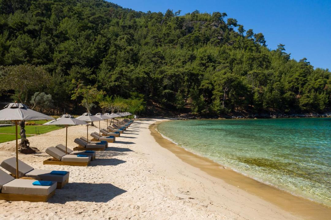 Photo of Others in Golden Beach