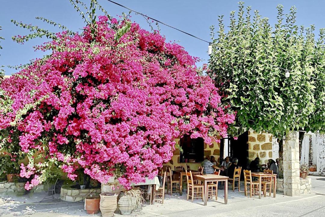 Photo of Others in Filippos