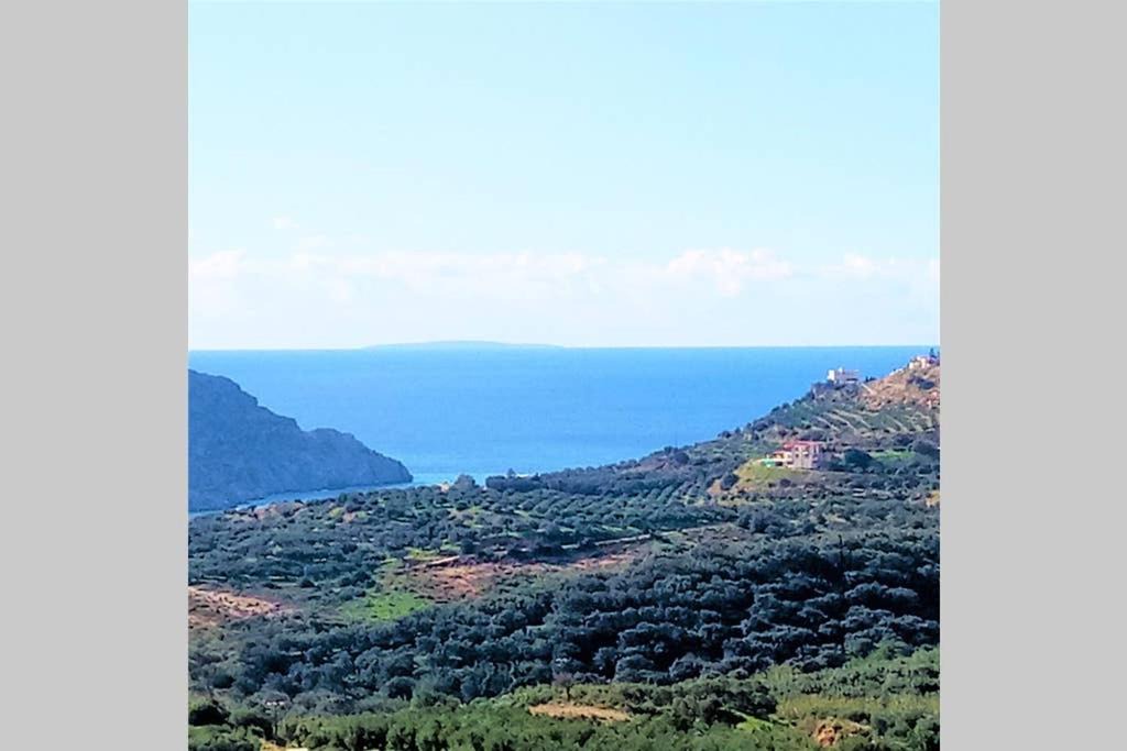 Photo of Others in Mariou