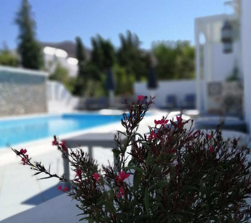 Photo of Others in Astypalaia