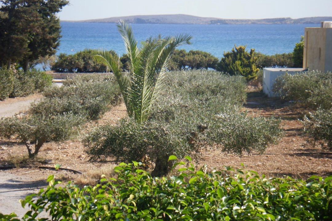 Photo of Others in Palekastro