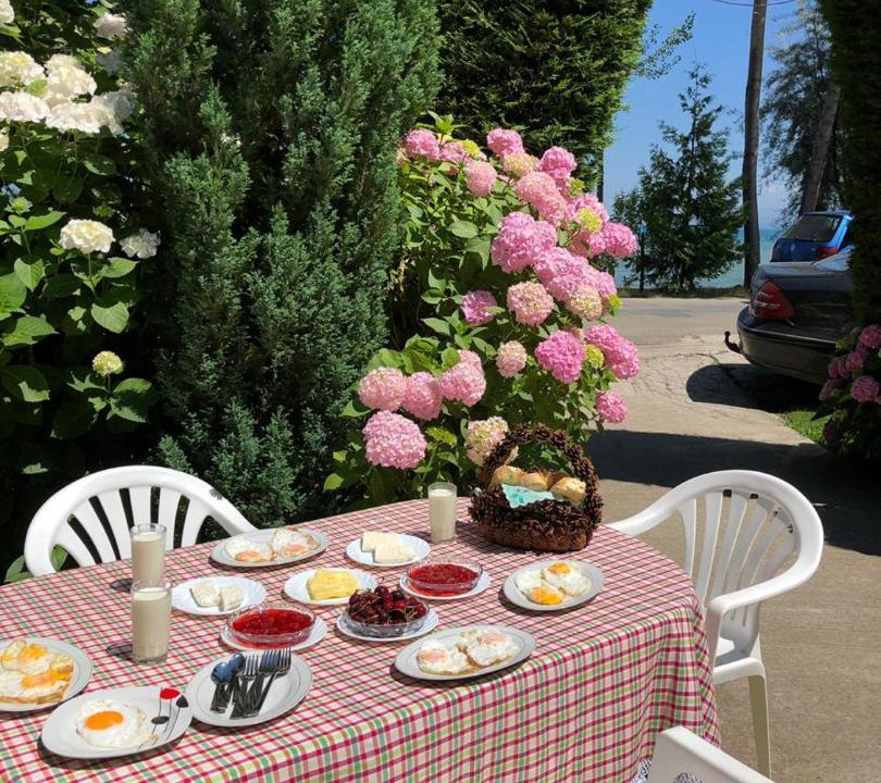 Photo of Others in Pogradec