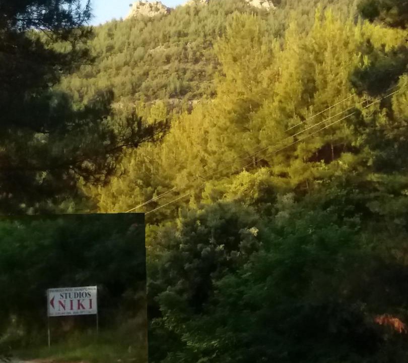 Photo of Others in Thasos