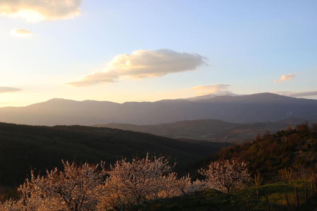 Photo of Others in Edessa