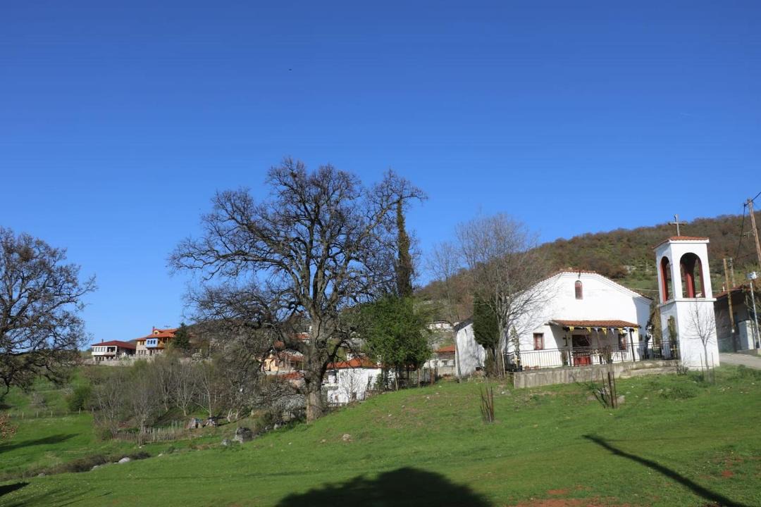 Photo of Others in Edessa