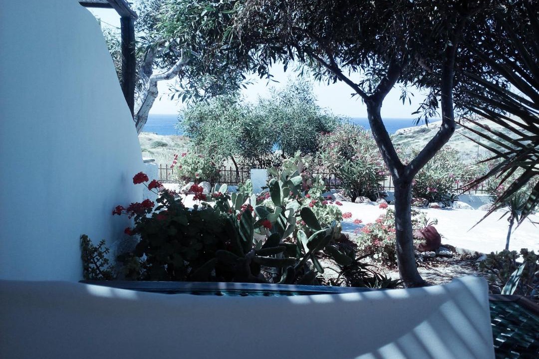 Photo of Others in Milos