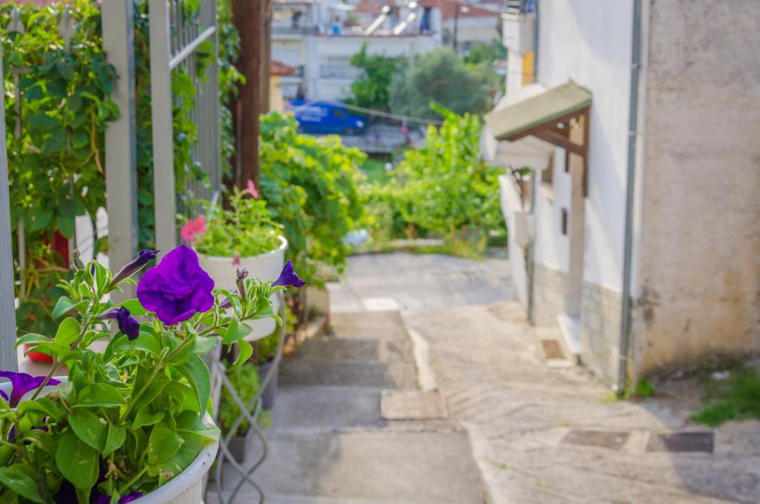 Photo of Others in Thasos Town