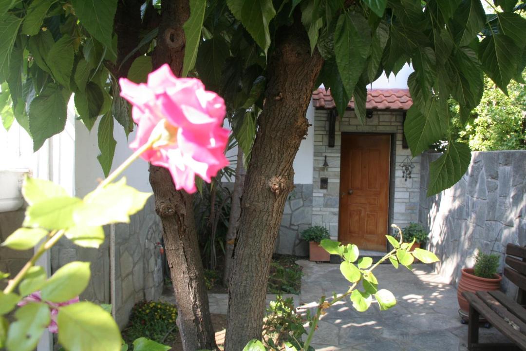 Photo of Others in Stavros