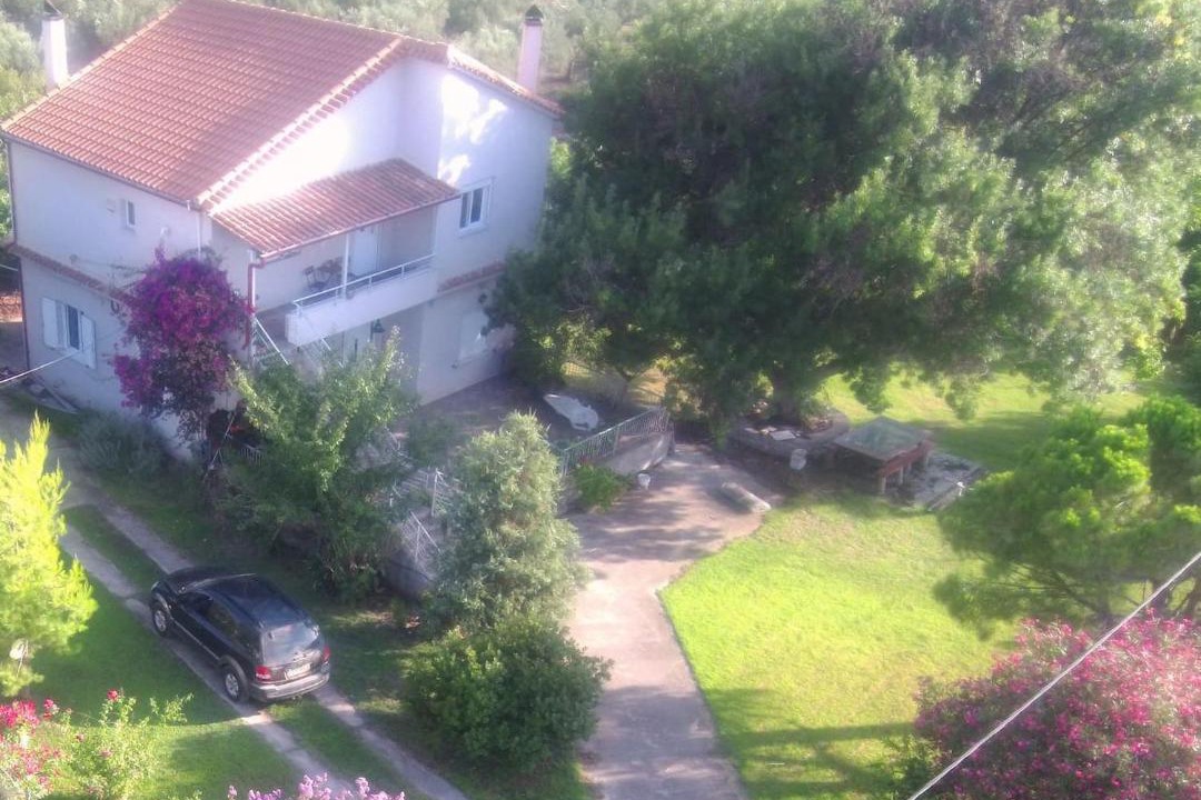 Photo of Others in Skafidia
