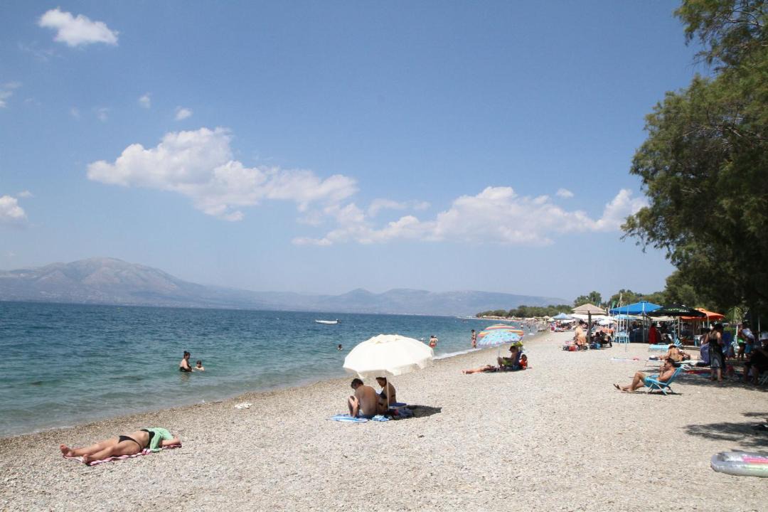 Photo of Others in Nea Palatia
